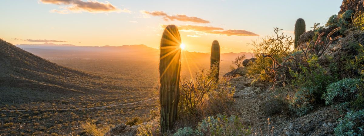 Banner image of Account Servicing